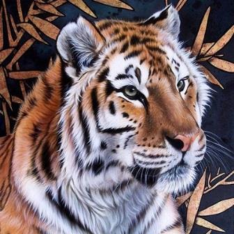 Картина по номерам "Китайский тигр" GX 21123 фото, картинки