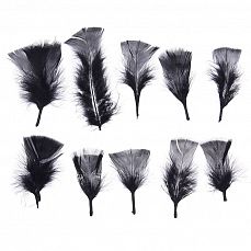 Набор перьев для декора 10 шт, размер 1 шт. 10*4 см цвет черный фото