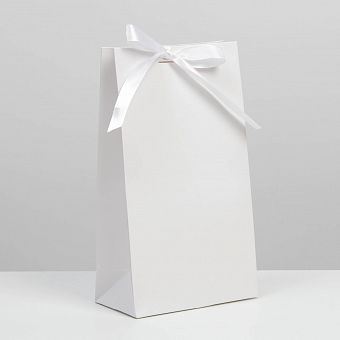 Пакет подарочный с лентой «Белый», 13 × 23 × 7 см   7303863 фото, картинки